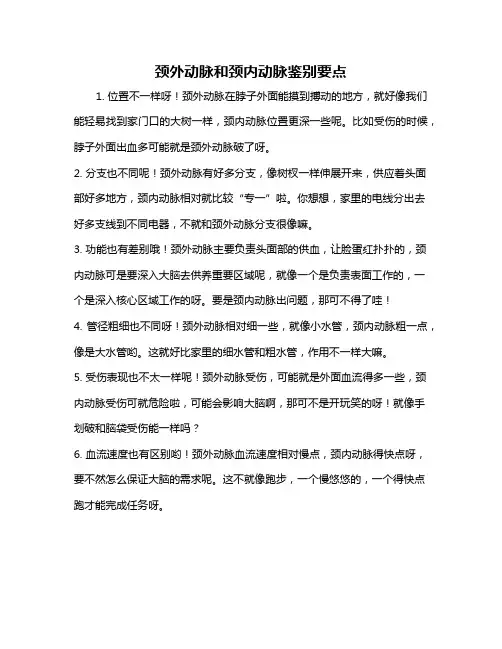 颈外动脉和颈内动脉鉴别要点