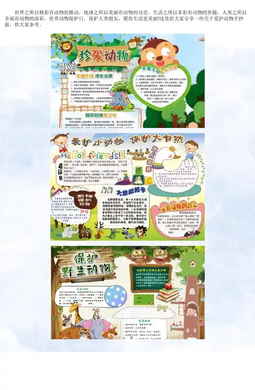 爱护动物手抄报初中生模板5张