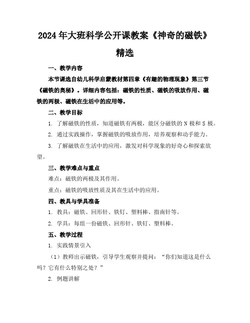 2024年大班科学公开课教案《神奇的磁铁》精选