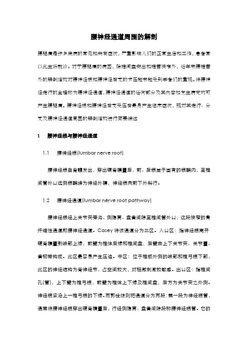 脊柱腰段神经通道周围的解剖概述
