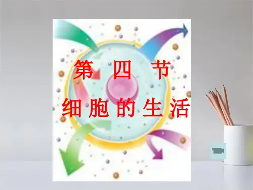 新人教版七年级生物上册细胞的生活课件