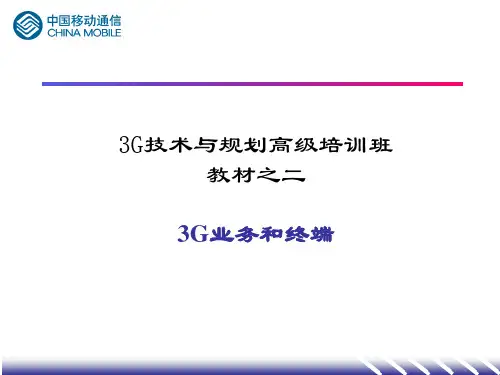 3G技术与规划高级培训班：3G业务和终端(PPT61).pptx