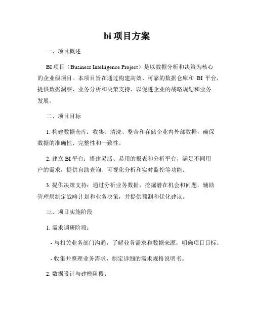 bi项目方案