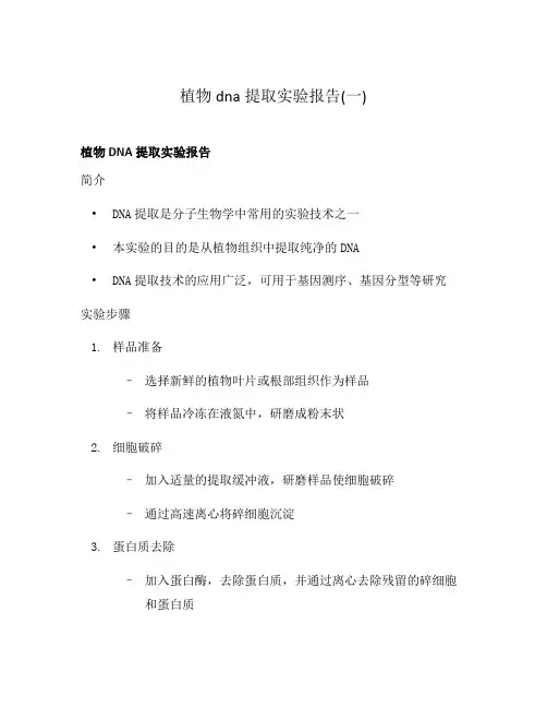 植物dna提取实验报告(一)