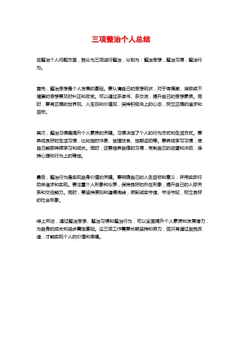 三项整治个人总结
