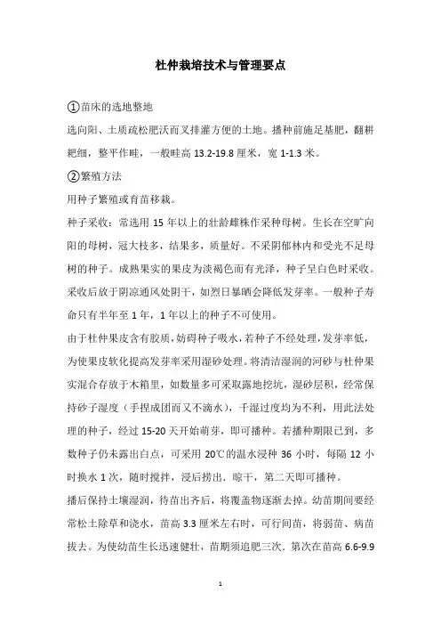 杜仲栽培技术与管理要点