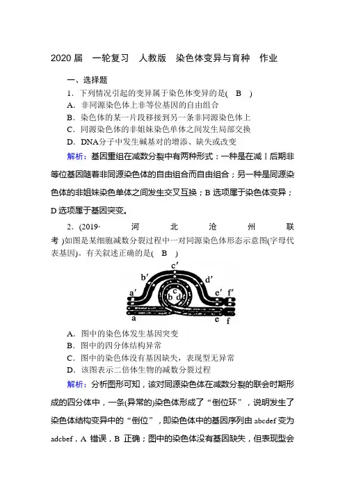 2020年高考  一轮复习  人教版  染色体变异与育种  作业.doc