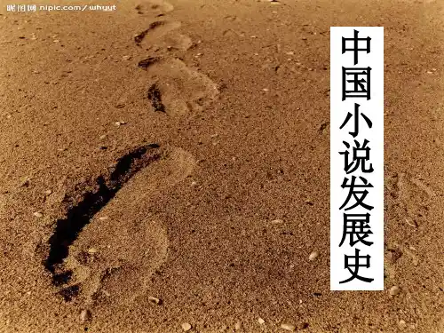 中国小说发展史幻灯片课件