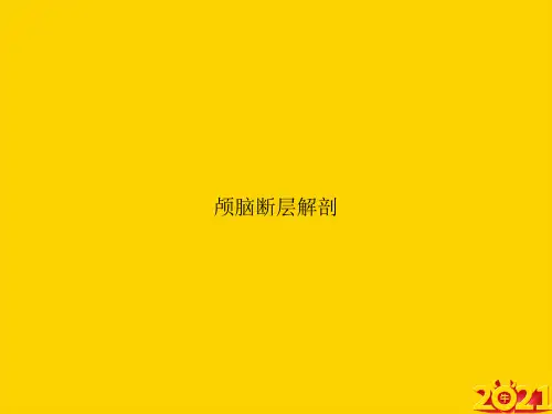颅脑断层解剖ppt正式完整版