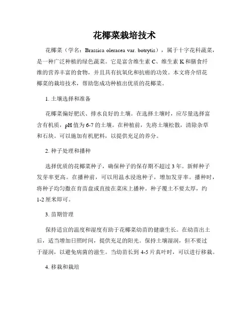 花椰菜栽培技术