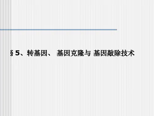分子生物技术《转基因、基因克隆与基因敲除技术》课件