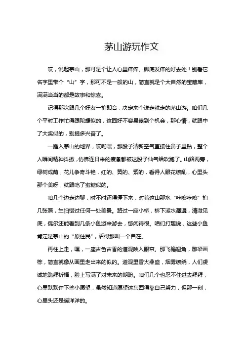 茅山游玩作文