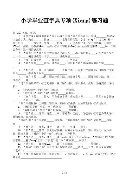 小学毕业查字典专项练习题