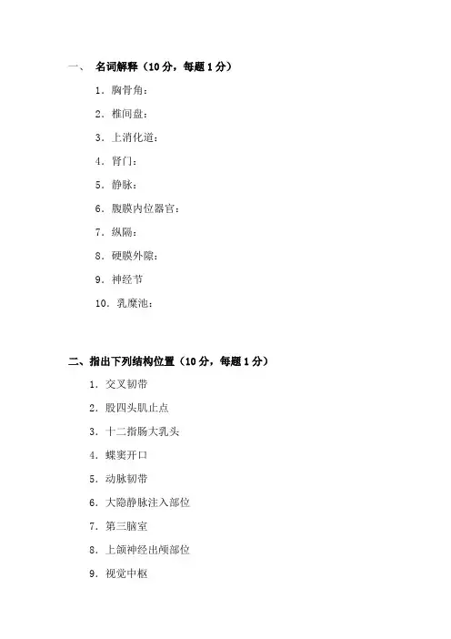 最新中职系统解剖学试题02(名词解释)