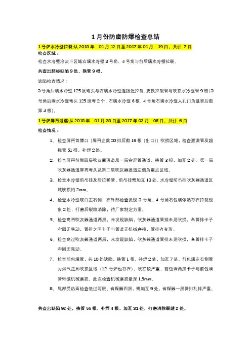 锅炉防磨防爆总结