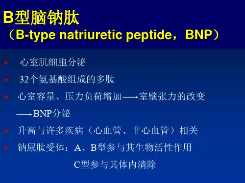 N-端脑利钠肽