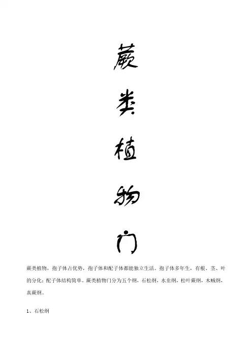蕨类植物图鉴