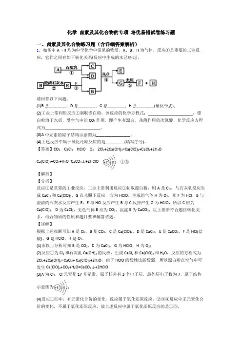 化学 卤素及其化合物的专项 培优易错试卷练习题