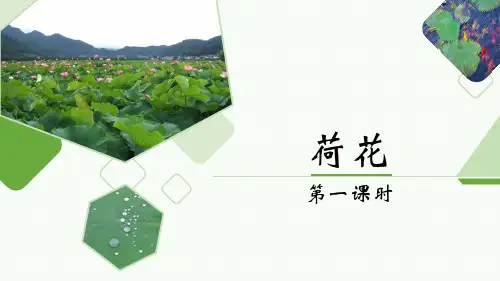 部编版三年级语文下册3《荷花》课件(共23张PPT)