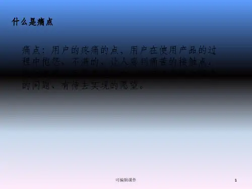 痛点分析ppt课件
