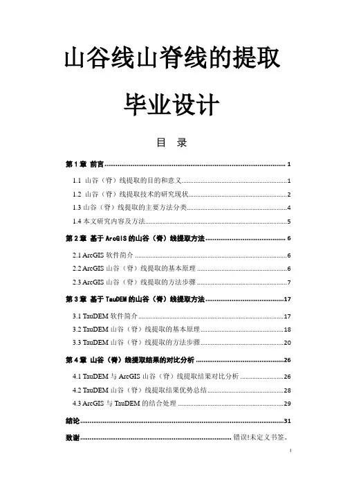 山谷线山脊线的提取毕业设计