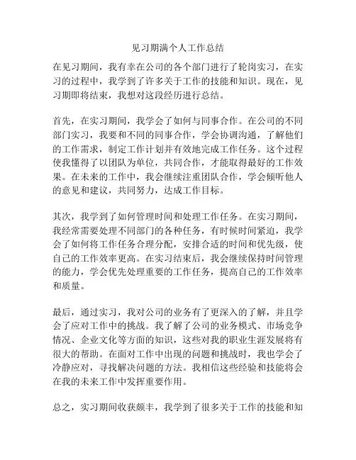 见习期满个人工作总结
