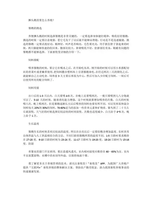 狮头鹅苗要怎么养殖？