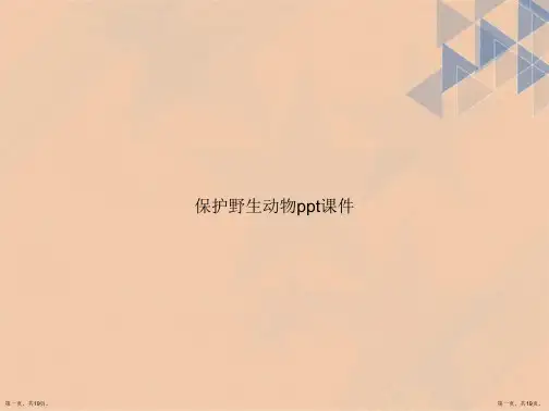保护野生动物ppt课件讲课文档
