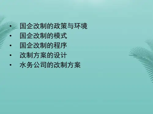 国有企业改制与实务操作.精选优秀PPT