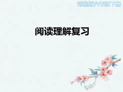 六年级考试阅读理解复习课ppt  