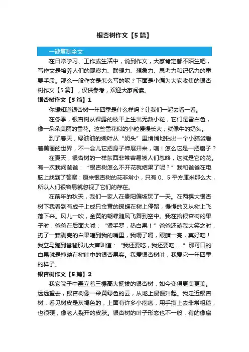 银杏树作文【5篇】