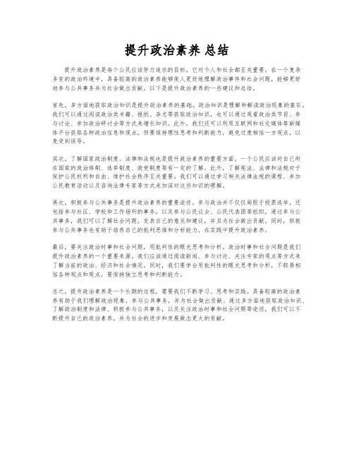 提升政治素养 总结