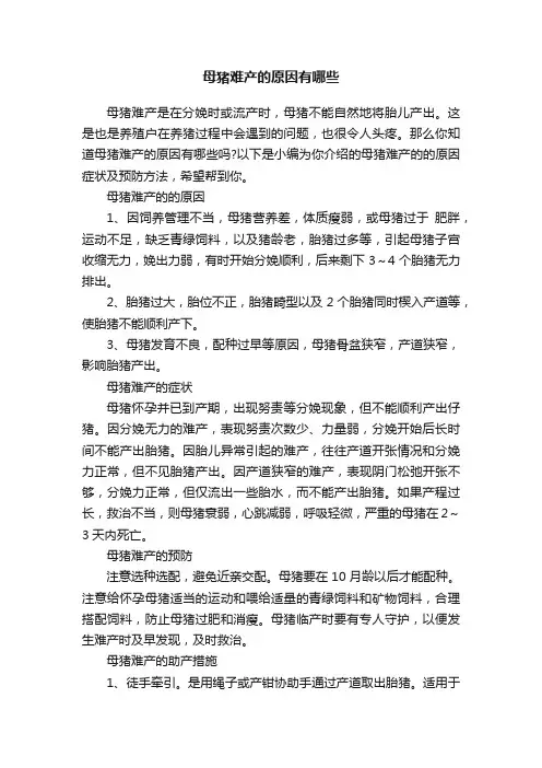 母猪难产的原因有哪些