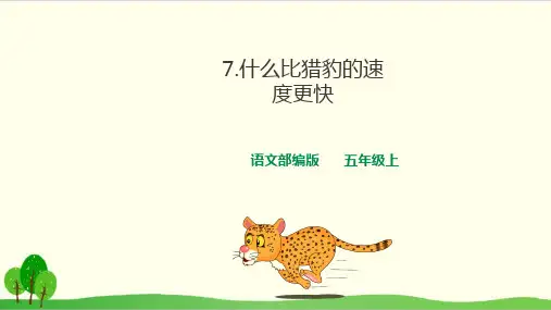 部编教材五年级上册语文《什么比猎豹的速度更快》优质PPT