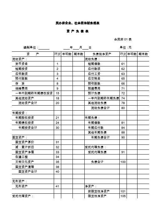 民办非企业、社会团体财务报表会民非01表资产负债表
