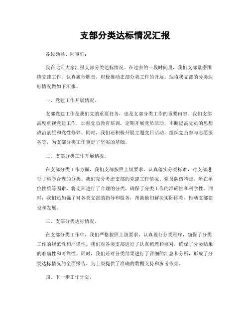 支部分类达标情况汇报