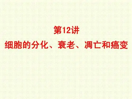 第12讲 细胞的分化、衰老、凋亡和癌变
