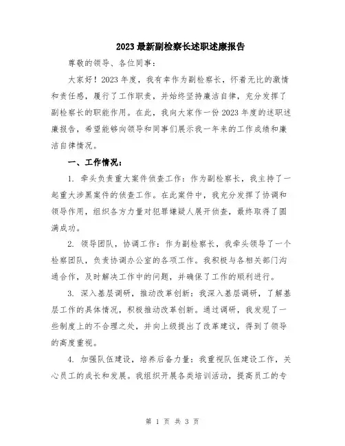 2023最新副检察长述职述廉报告