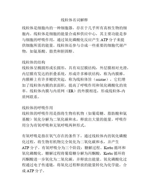 线粒体名词解释