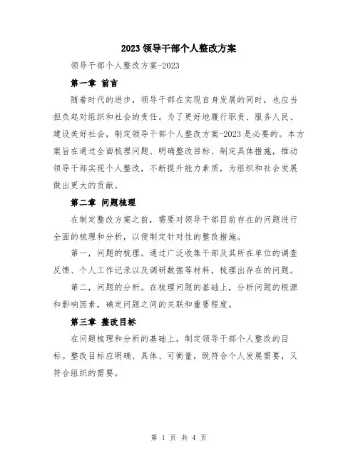 2023领导干部个人整改方案