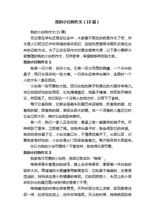 我的小白狗作文（15篇）