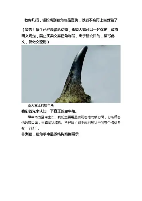 教你几招，轻松辨别犀角制品真伪，以后不会再上当受骗了