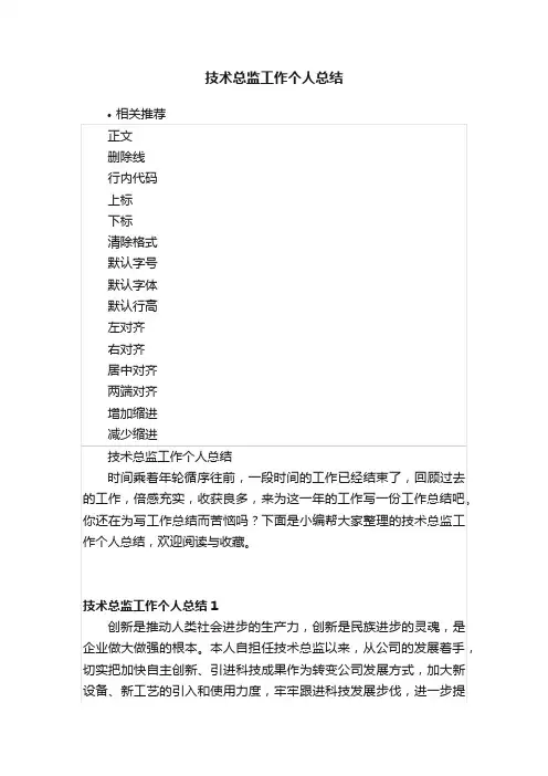 技术总监工作个人总结