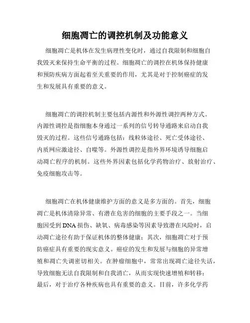 细胞凋亡的调控机制及功能意义