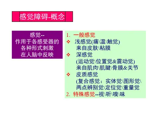 中枢神经的传导通路感觉