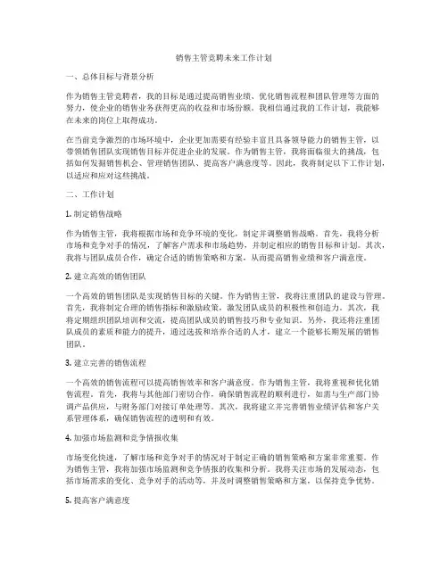 销售主管竞聘未来工作计划