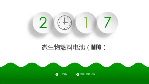 微生物燃料电池  ppt课件