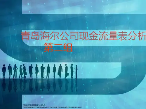 海尔现金流量表分析PPT31页