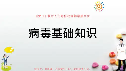 病毒基础知识课件