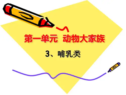2020新版苏教版四年级科学上册4《哺乳类》课件